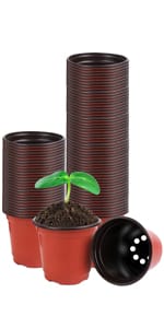Plant pot