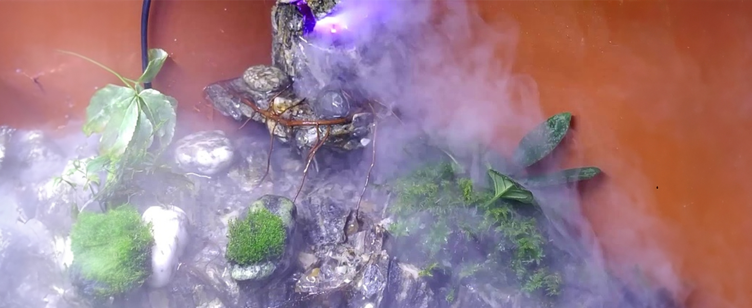 Mist Maker Fog Maker for Water Fountain Pond Rockery Fishtank Vase Birdbath