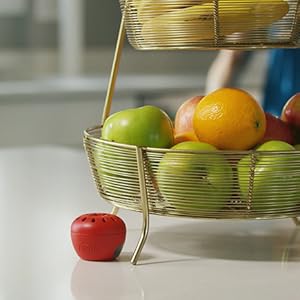 terro fruit fly trap near fruit basket