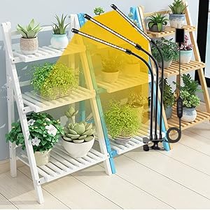 Grow light for indoor plant A+3