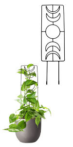 Moon Geometric Shape Small Potted Plant Trellis