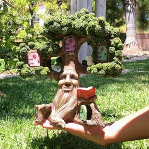 Fairy Garden Enchanted Joshua’s Miniature Tree