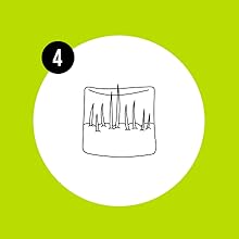 Sprouts in 4-6 days.