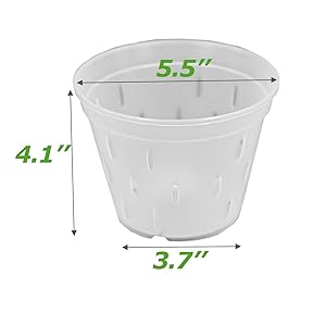 clear pots for orchid