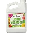 Maxicrop Liquid Seaweed (Kelp Extract, 32 Oz