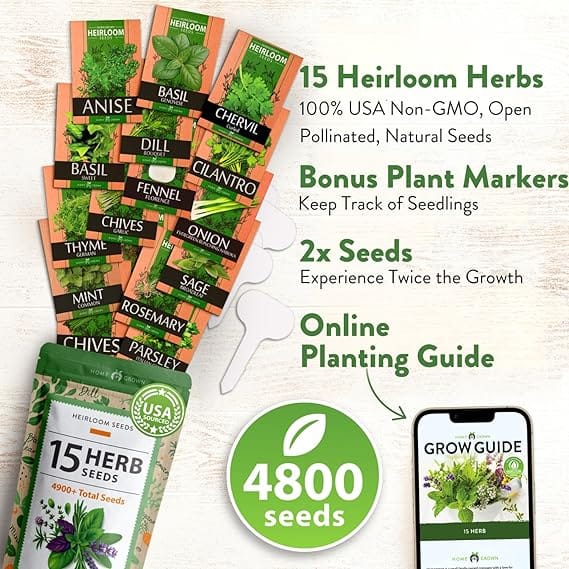 15 Culinary Herb Seeds - Heirloom & Non GMO - High Germination Rate - Seeds for Planting Indoor Hydroponic or Outdoor Herbs Garden | Gardening Gift Men Women Gardeners - Basil, Cilantro, Mint - Image 3