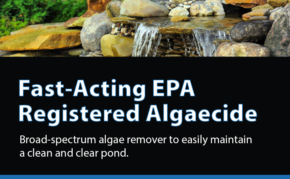 Algae D-Solv Header Banner - Fast Acting EPA Registered Algaecide