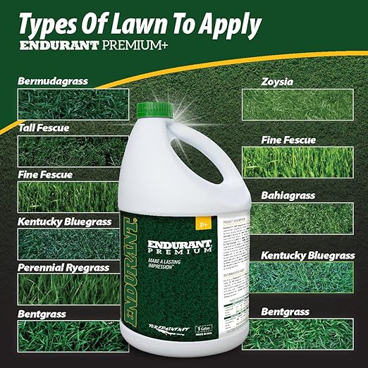 Endurant Green Grass Paint for Lawn and Fairway Treats Dry or Patchy Lawn – Pet Friendly Eco-Friendly Lawn Spray Paint and Turf Grass Dye - Image 3
