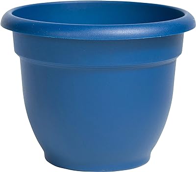 Bloem Ariana Self Watering Planter 8