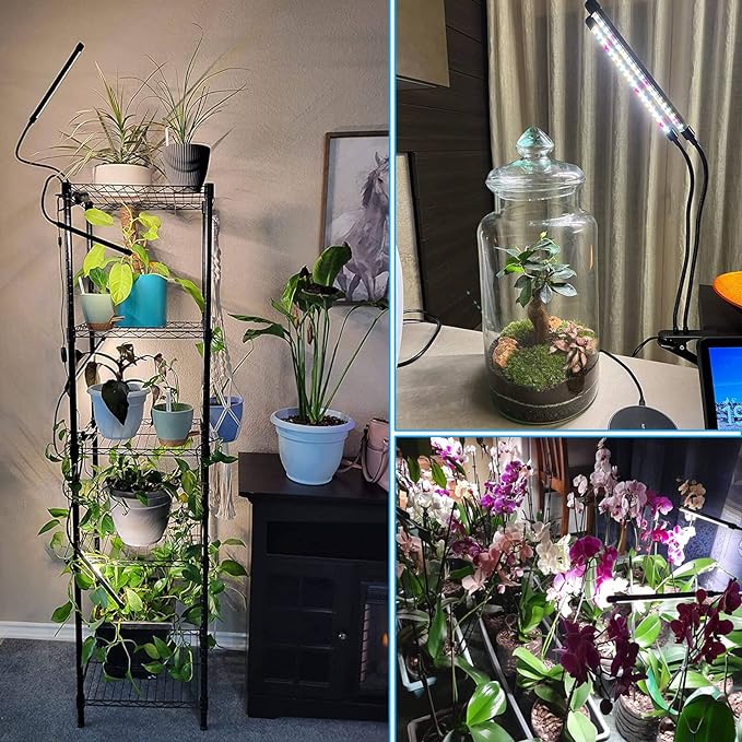 FRGROW Grow Lights for Indoor Plants Full Spectrum, Plant Lights for Indoor Growing, 3000k/5000k/660nm Plant Grow Lamps, Clip on Plant Lamp with White Red LEDs, Timer Setting,10-Level Dimmable 3-Head - Image 2