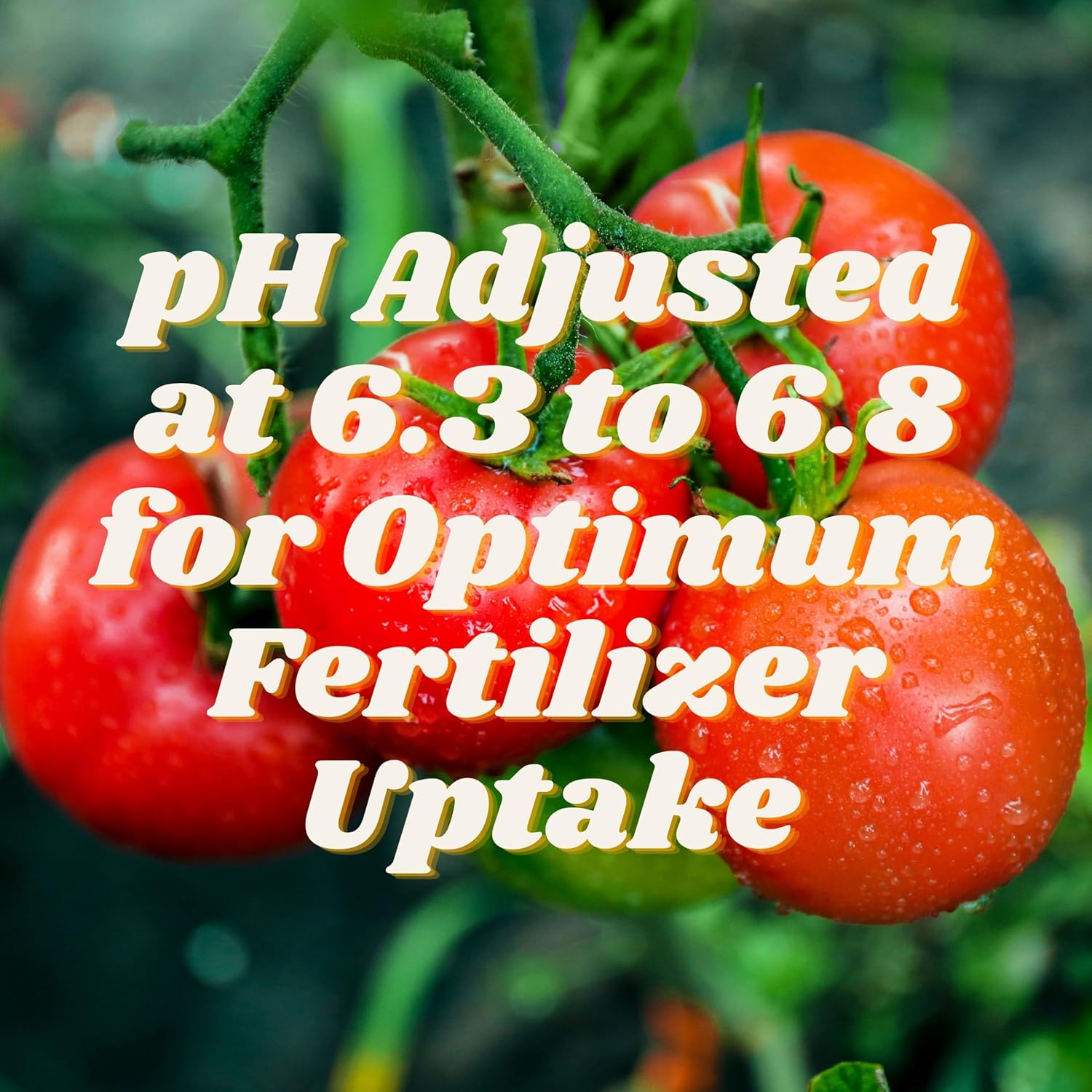 FoxFarm Ocean Forest Potting Soil Mix Indoor Outdoor for Garden and Plants | Plant Fertilizer | 12 Quarts | The Hydroponic City Stake - Image 2