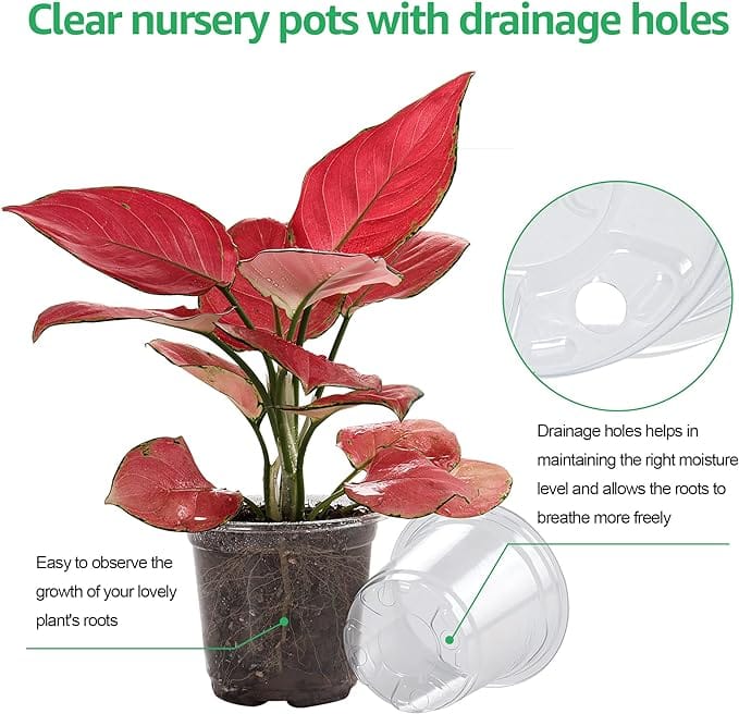 36 Packs 5/4/3.5 Inch Reinforced Clear Nursery Pots with Drainage Hole, Transparent Variety Pack Plastic Plant Pot Seedling Planter Seed Starter Flower 20pcs Labels - Image 3