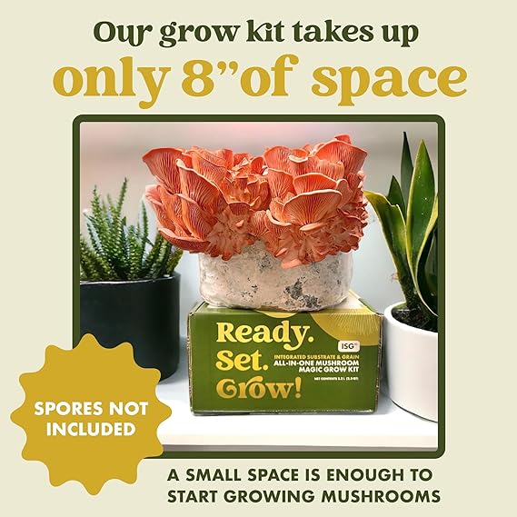 Pacific Substrates Mushroom Grow Kit | Easy to Grow All-in-One Sterilized Grain and Manure-Based Substrate | Grow Up to 2 Lbs of Fresh Mushrooms | Grow Bag with Injection Port | Ready.Set.Grow! (3lb) - Image 2