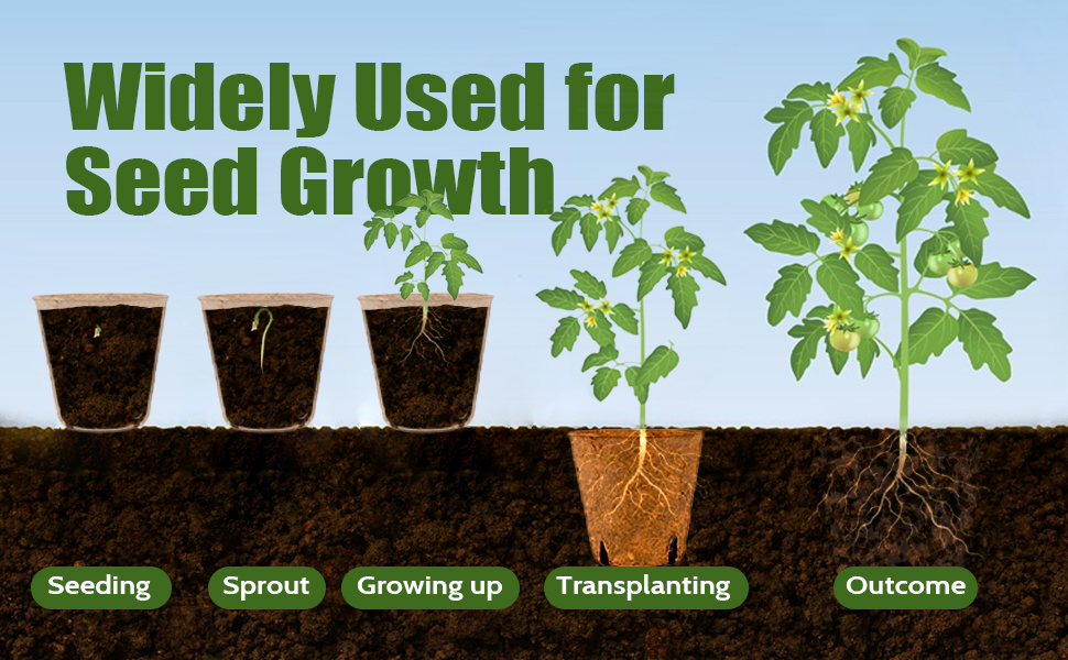 Seedlings Seed Starter Pots