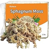 Yilotuce 1.1 lb Sphagnum Moss for Plants, Carefully Selected Clean Sphagnum Mos for Rooting Plants