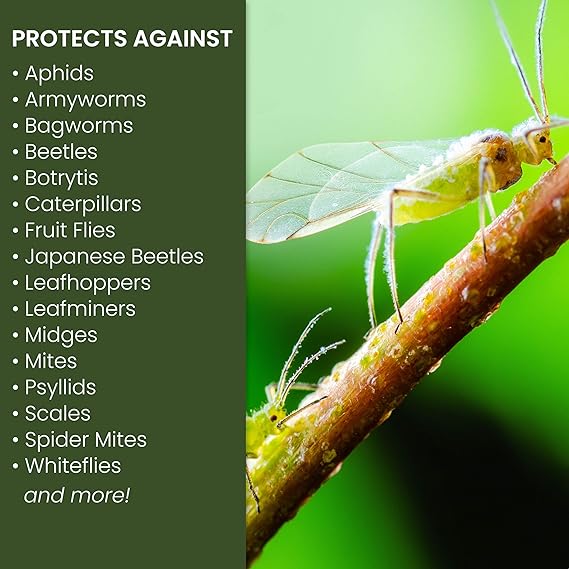 Natria 706250A Neem Oil Spray for Plants Pest Organic Disease Control, for Insects, 24-Ounce, Ready-to-Use - Image 2