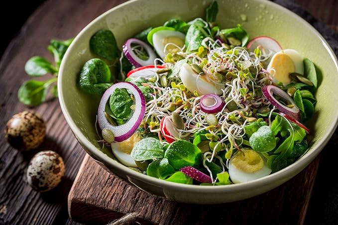 Nature Jims Sprouts Salad Sprout Mix - Organic Salad Mix for Growing - Non-GMO Microgreen Seeds - Healthy Broccoli, Alfalfa, Radish, Clover Sprouting Seeds Variety Mix - Microgreens Growing 1lb - Image 3