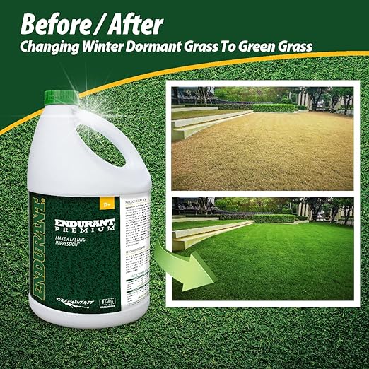 Endurant Green Grass Paint for Lawn and Fairway Treats Dry or Patchy Lawn – Pet Friendly Eco-Friendly Lawn Spray Paint and Turf Grass Dye - Image 2