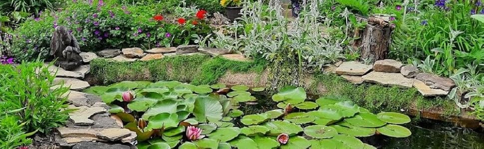 Pond H2o Koi Fish Pond & Water Garden Care Set with Telescopic Pole, Pond Cleaning Care Kit