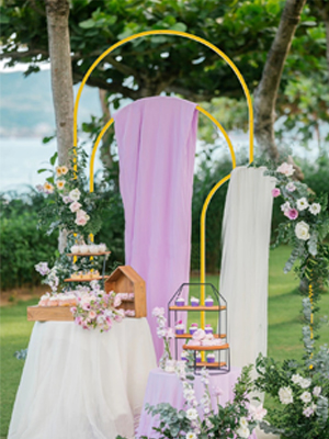 Arch Backdrop Stand