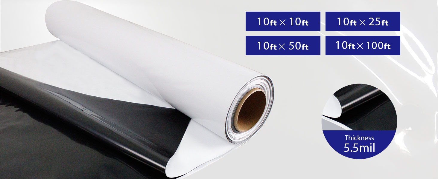 black and white film