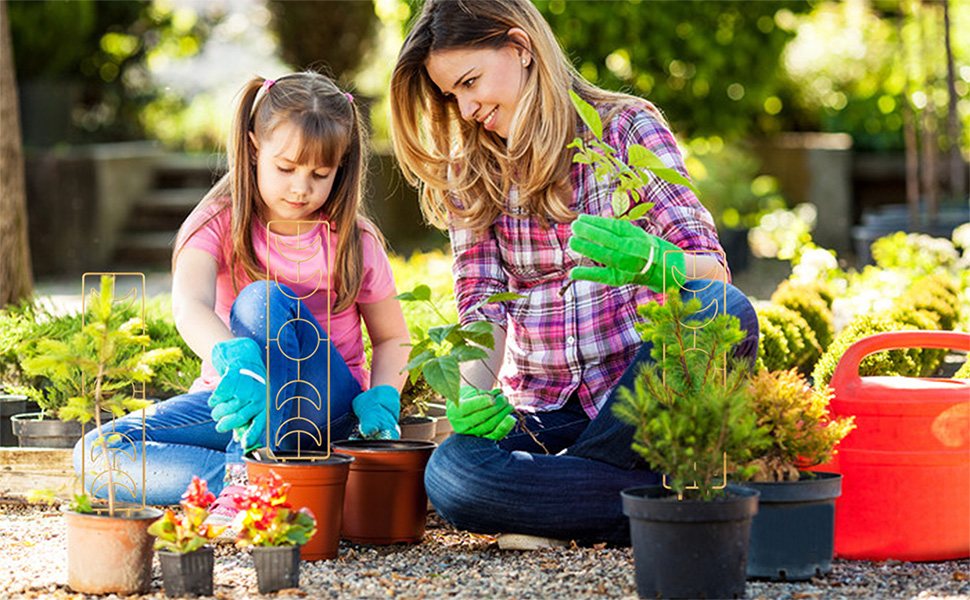 indoor plant trellis