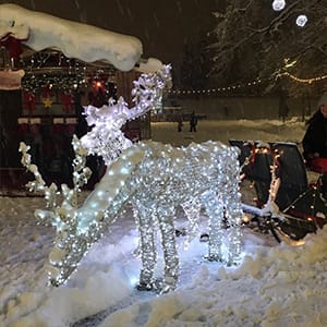 Garden Stakes U-Shaped Tent Stakes Galvanized Landscape Staples Ground Stakes Christmas Decorations