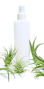 Air Plant Spray Bottle