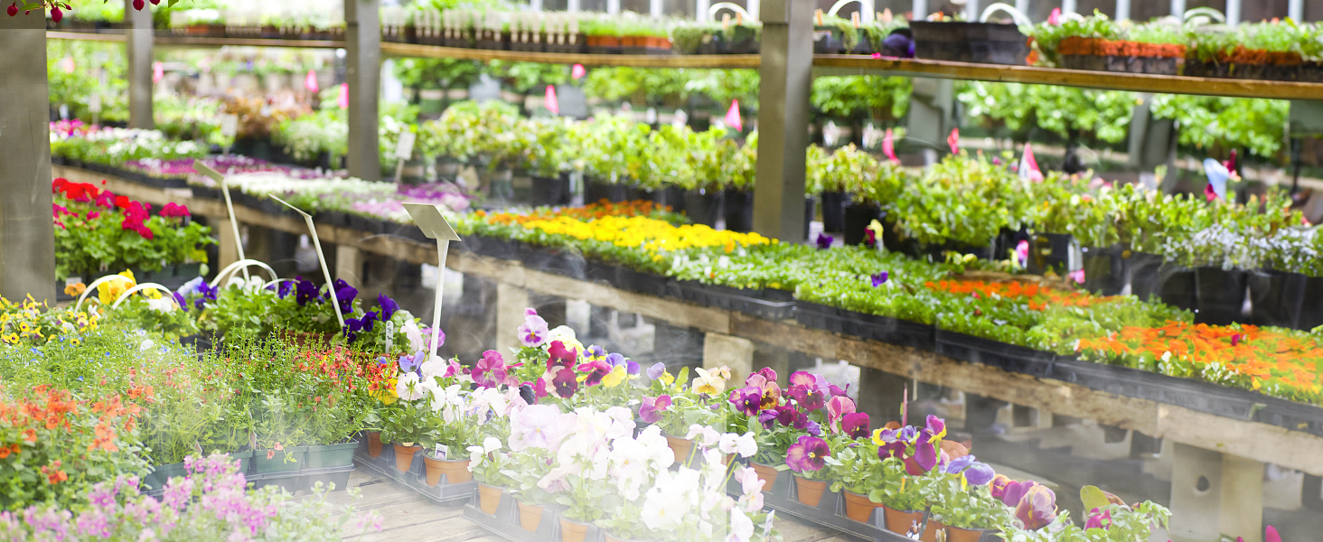 Mist Maker Fog Maker for Water Fountain Pond Rockery Fishtank Vase Birdbath