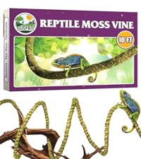reptile vine