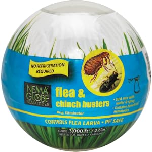 Nema Globe, Flea and Chinch Busters, Control, Insect, Biological, Nematodes