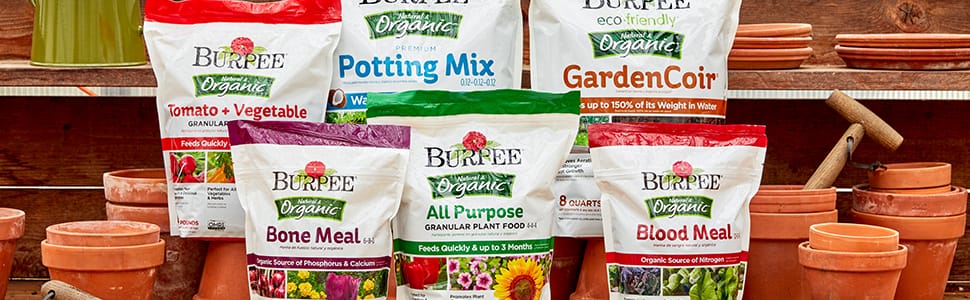 plant pot, potting soil, indoor plants, coco coir, house plants, potting soil indoor plants, flower