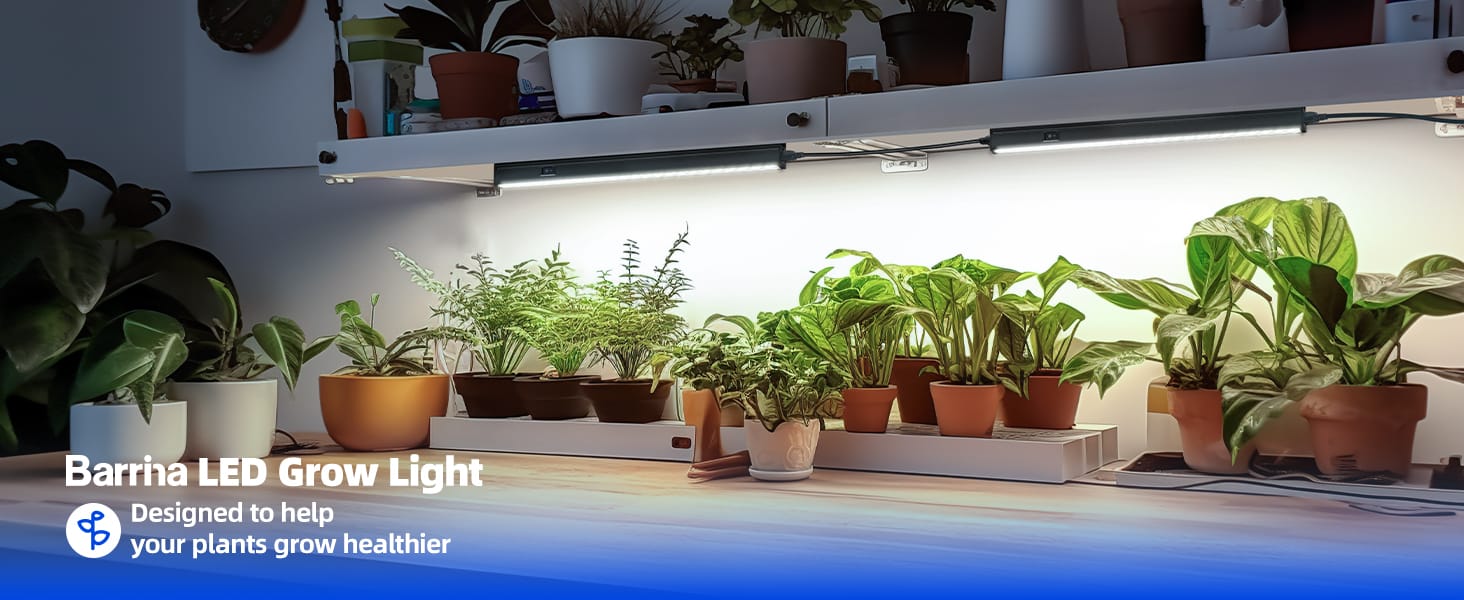 plant grow light