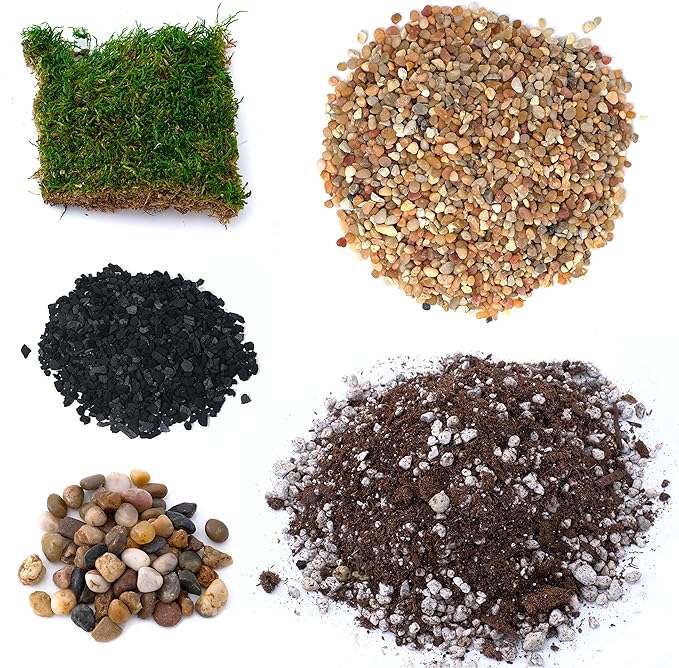 TerraGreen Creations Succulent Planter Kit - Terrarium Kit with Succulent Soil, Gravel, Pebble, Moss,