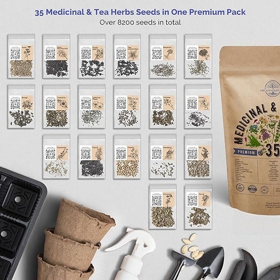 35 Medicinal & Tea Herb Seeds Variety Pack for Planting Indoor & Outdoors. 8200+ Non-GMO Heirloom Herbal Garden Seeds: Anise, Bergamot, Borage, Cilantro, Chamomile, Dandelion, Rosemary Seeds & More - Image 3