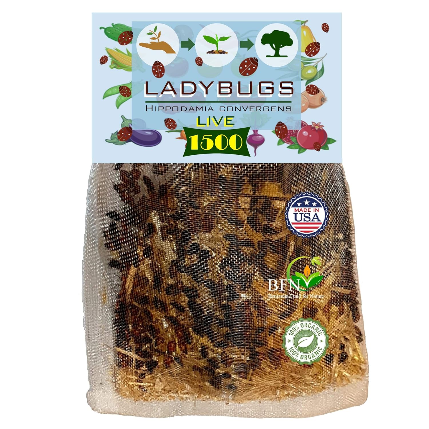 Clark&Co Organic 1500 Live Ladybugs - Good Bugs for Garden - Pre-Fed Hippodamia Convergens For Insects - Guaranteed Live Delivery!