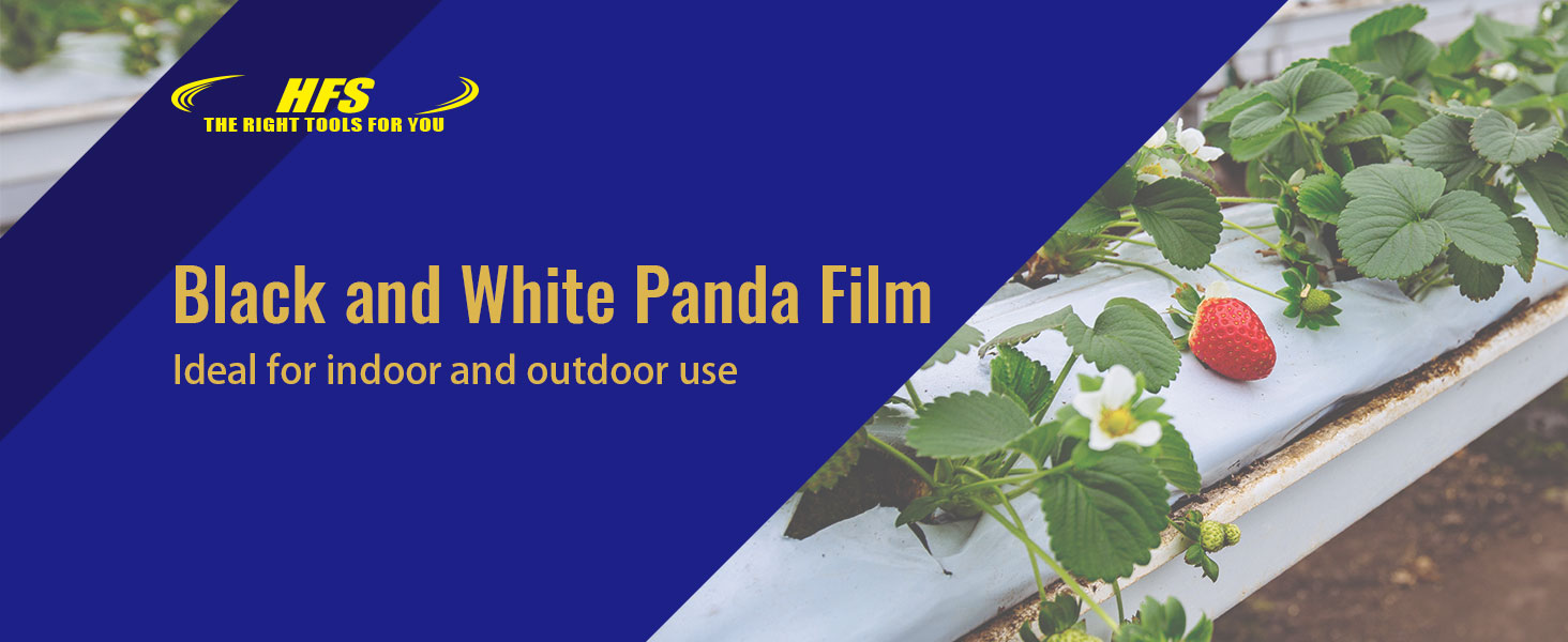 panda film
