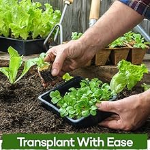 transplanting with ease transplant