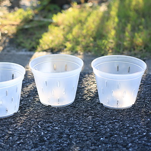 clear slot pots for orchid