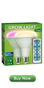 Plant Growing Light Bulbs