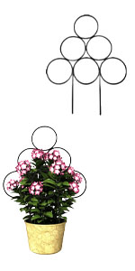 Round Metal Indoor Small Trellis