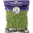SuperMoss (26907) Spanish Moss Preserved, Grass, 4oz, 120 cubic in Bag (Appx. 4oz) (7 59834 26907 6)