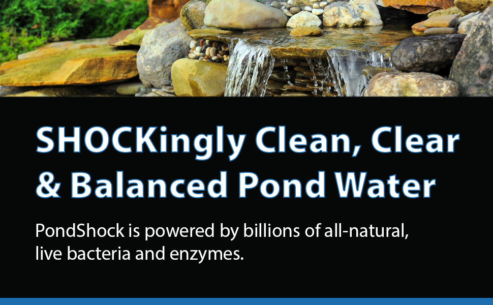 Algae D-Solv Header Banner - Fast Acting EPA Registered Algaecide