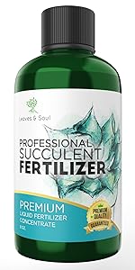 succulent fertilizer