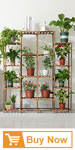 plant shelf