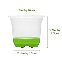 clear plant pots with drainage