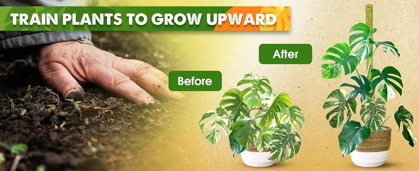 plastic moss poles for climbing plants