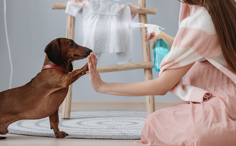 perfect for training cats and dogs