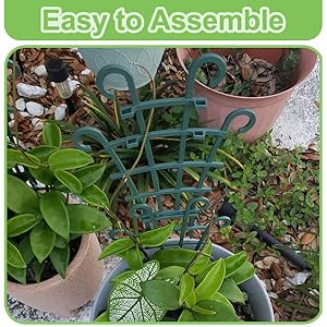 small trellis for potted plants outdoor