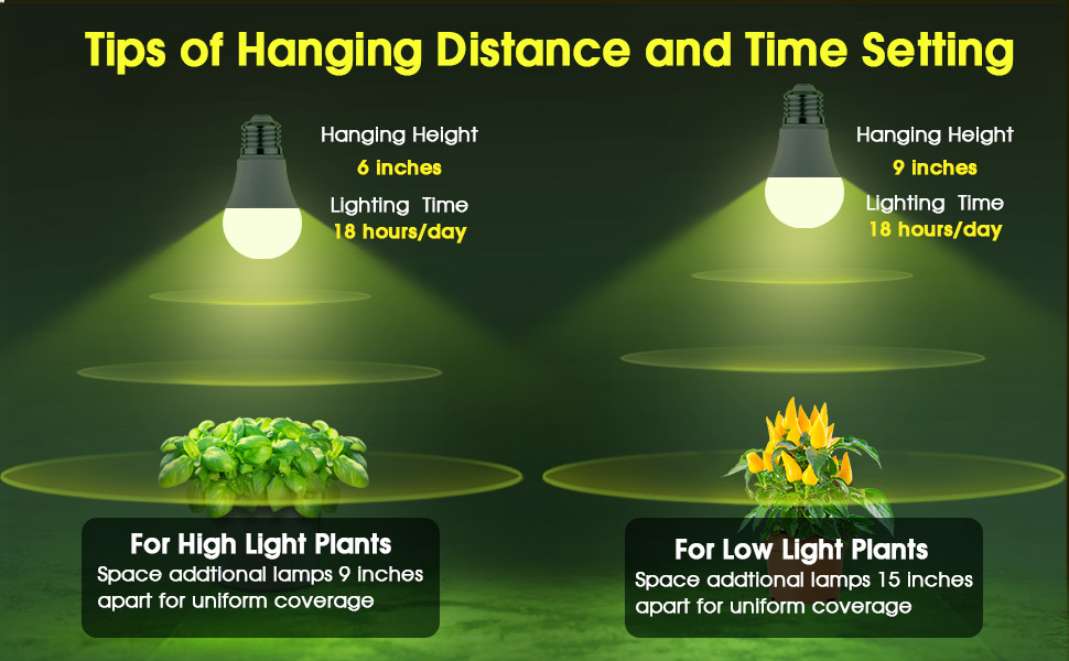 grow light bulb